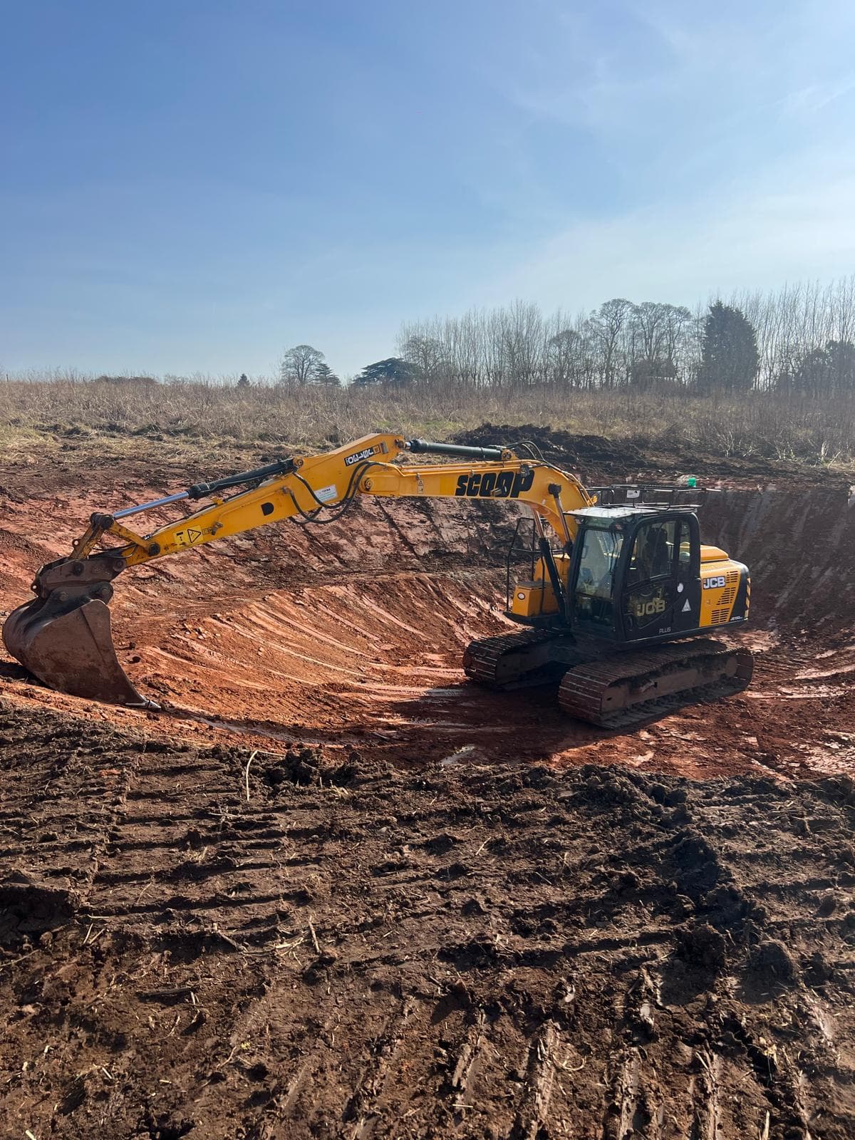 Large Pond Construction & Landscaping