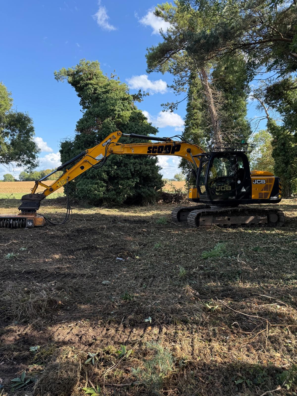 Excavator site clearance in wooded area