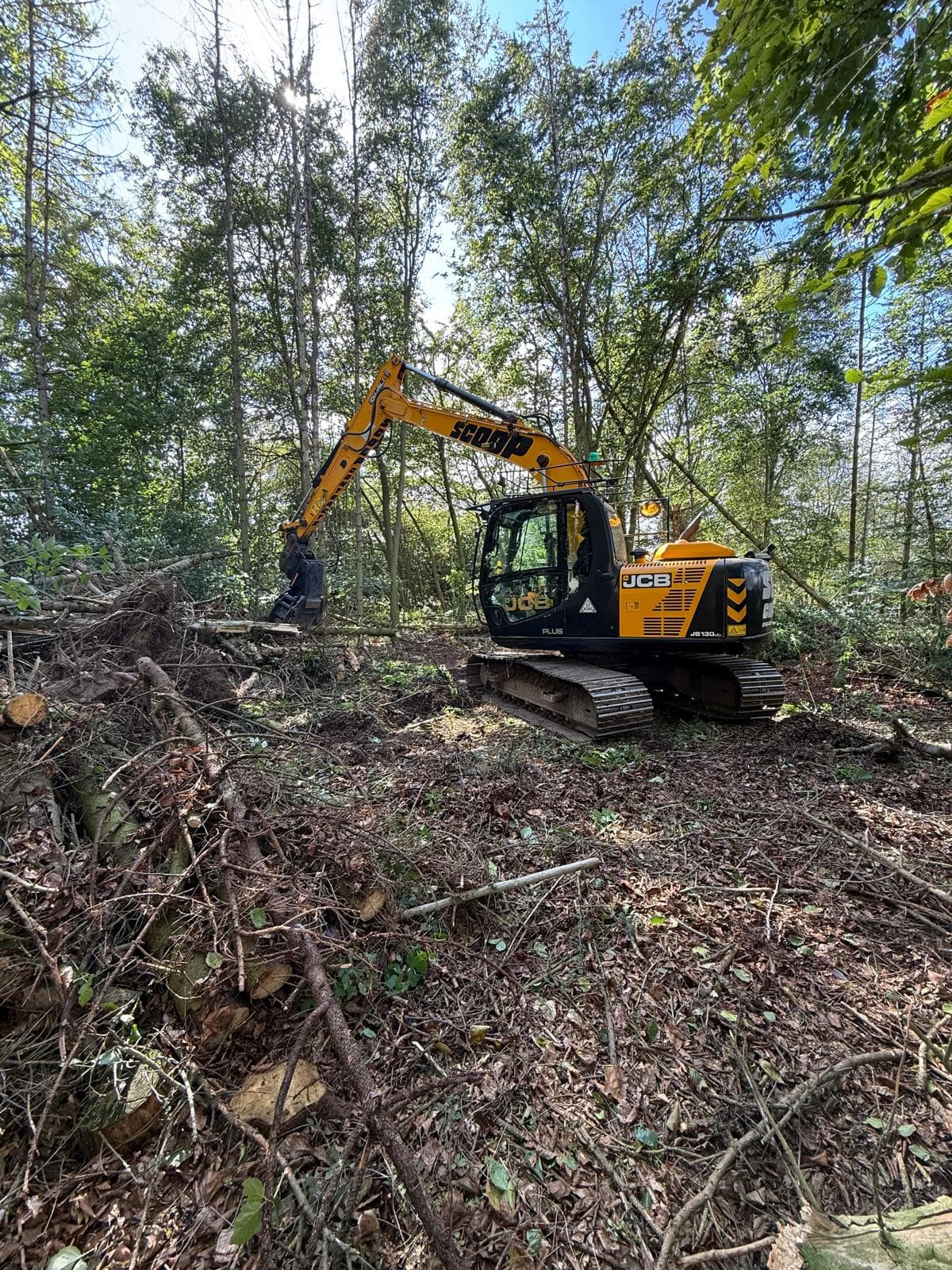 Woodland clearance using excavator