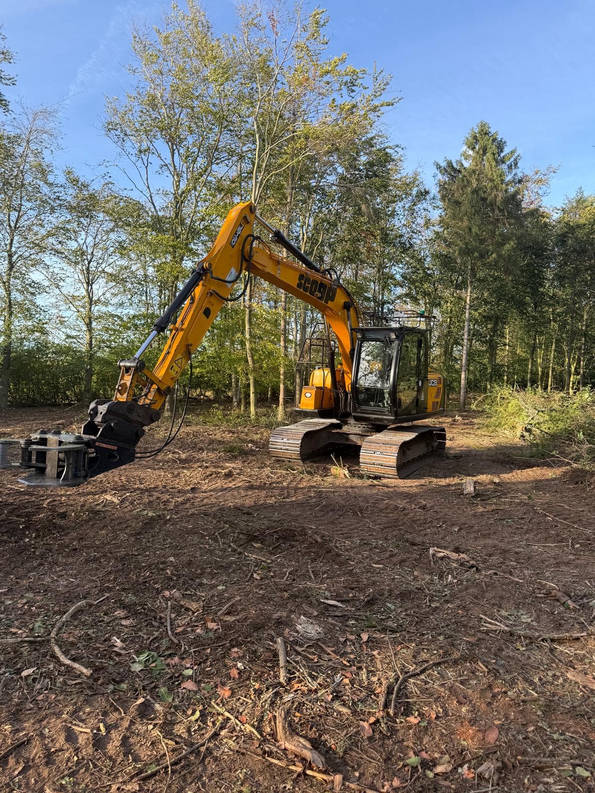 Excavator working through dense woodland