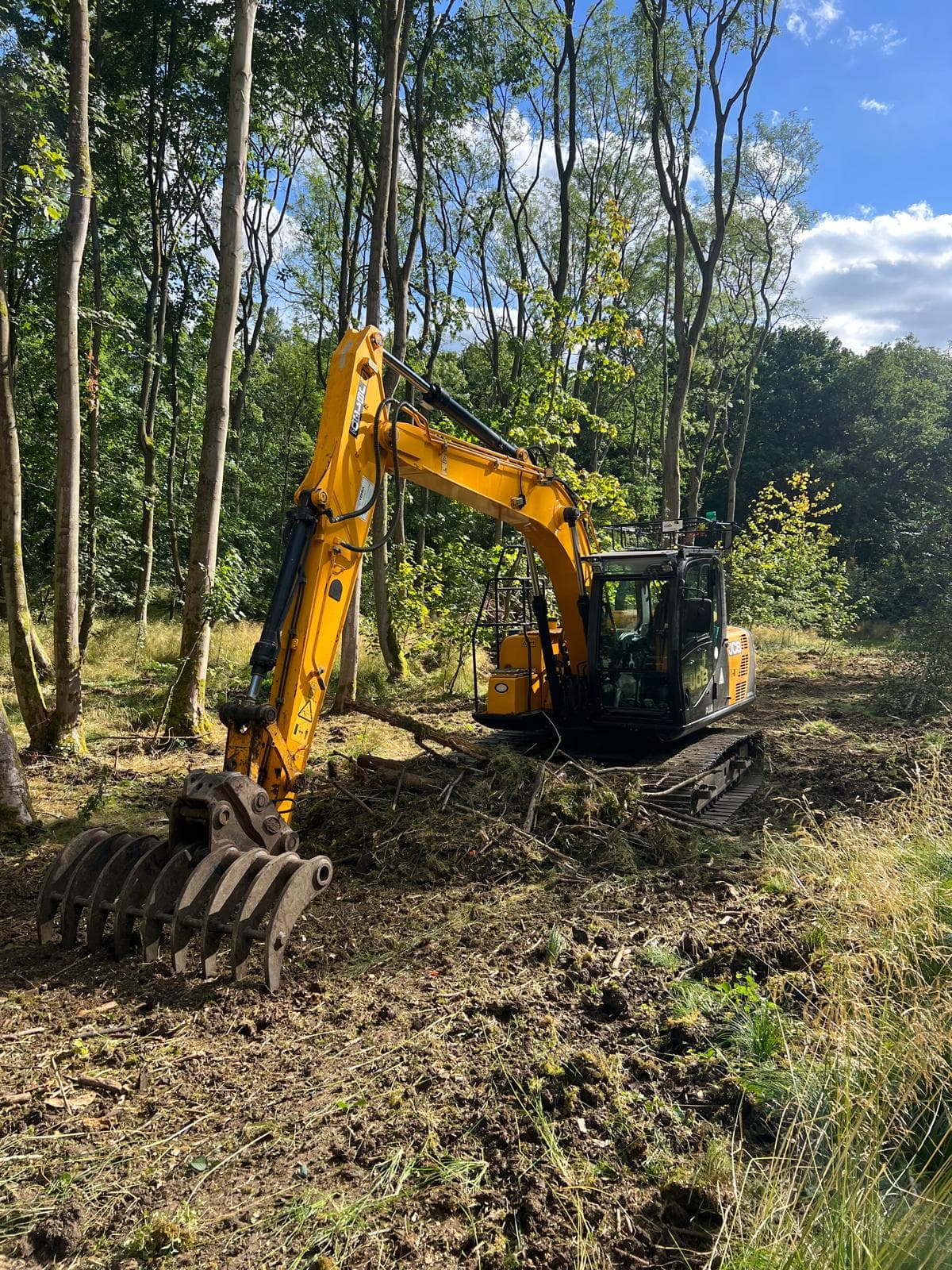 Forestry and woodland clearance project