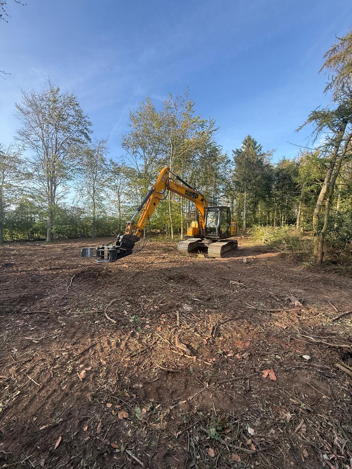 Excavator carrying out woodland clearance