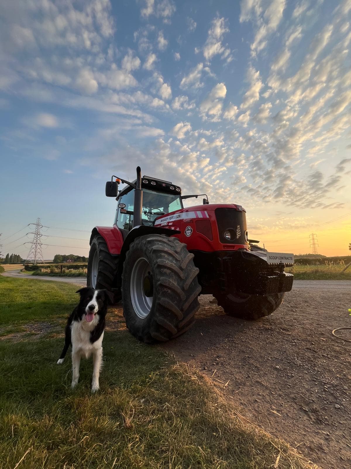 Massey Ferguson tractor at sunset